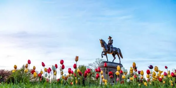 Sail w/ Free Upgrades — Canada