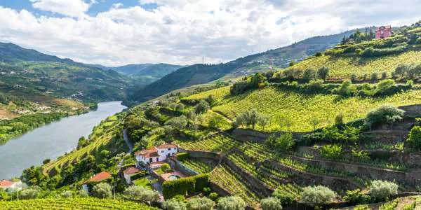 Air & 9-Day Douro River Cruise w/ Bonuses — Spain & Portugal