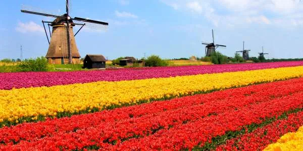 8-Day Tulip Time Cruise — Central Europe
